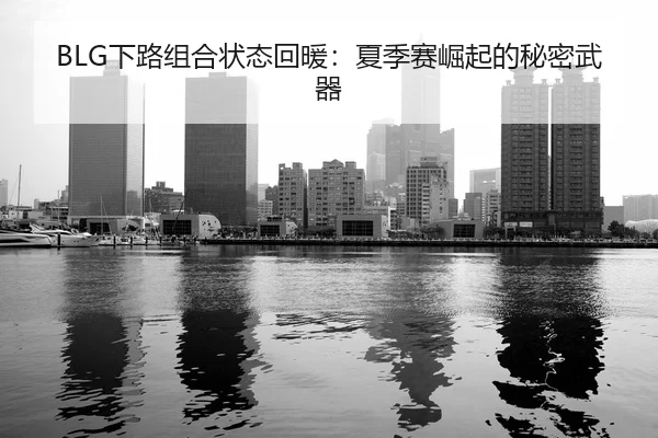 xia-lu-zu-he-zhuang-tai-hui-nuan-xia-ji-sai-jue-qi-de-mi-mi-wu-qi-3-314.jpg