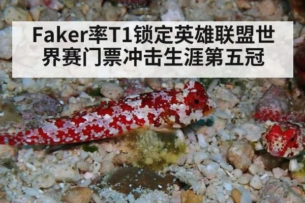 Faker率T1锁定英雄联盟世界赛门票冲击生涯第五冠